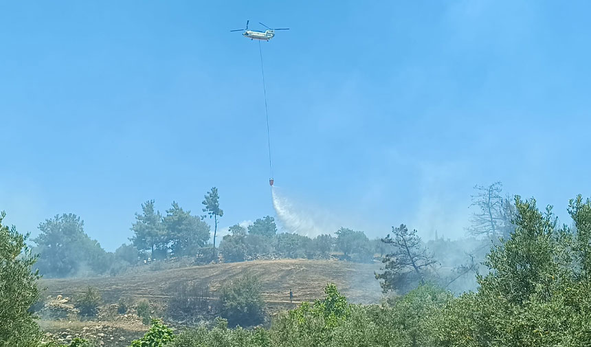 Adana'da anız yangını