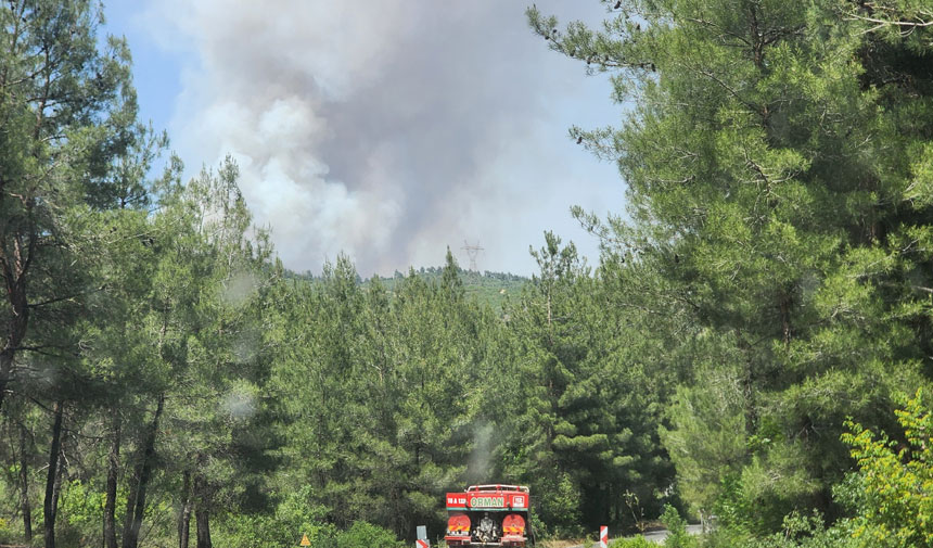 Bursa'da korkutan orman yangını