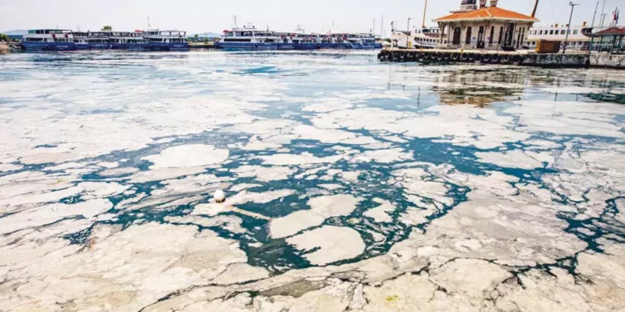 Müsilaj kabusu geri mi dönüyor? Bilim kurulu toplanacak