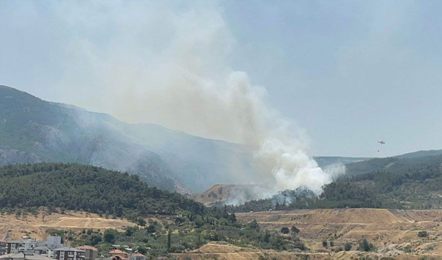 Soma'da orman yangını