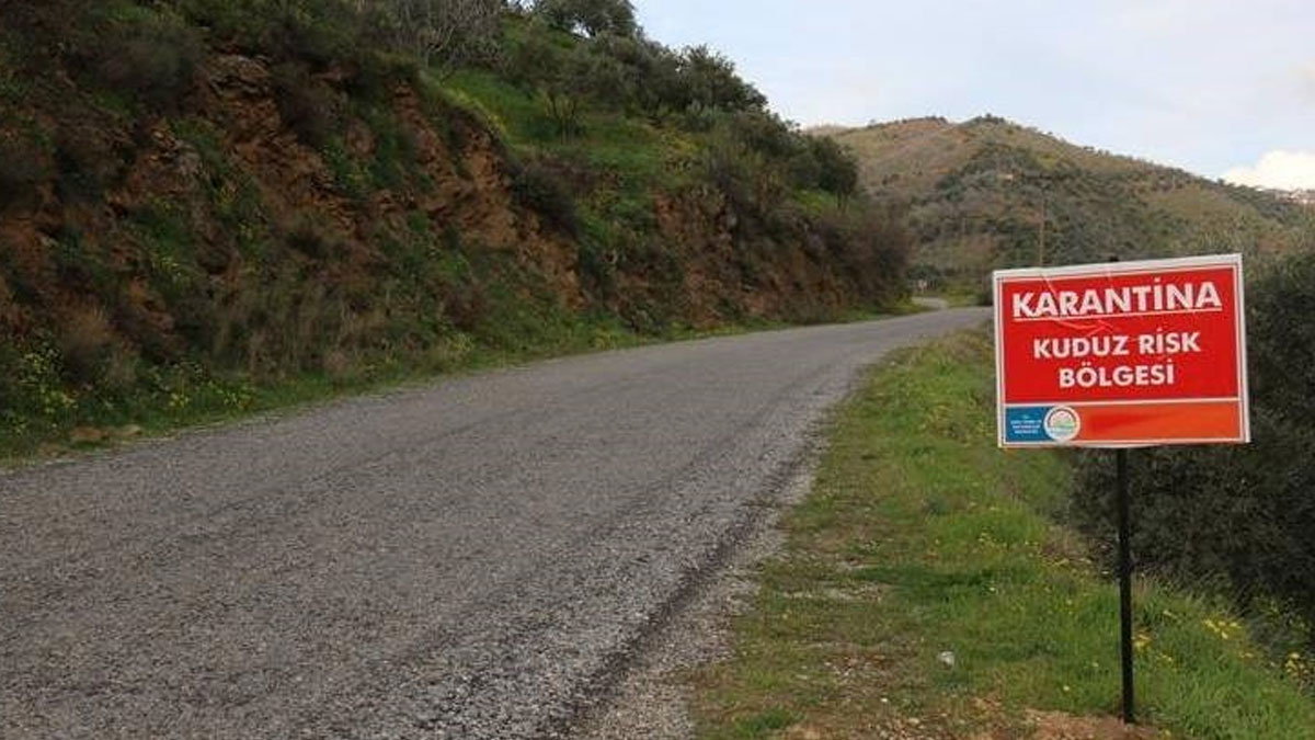 Hatay'da kuduz alarmı: Bir mahalle karantinaya alındı