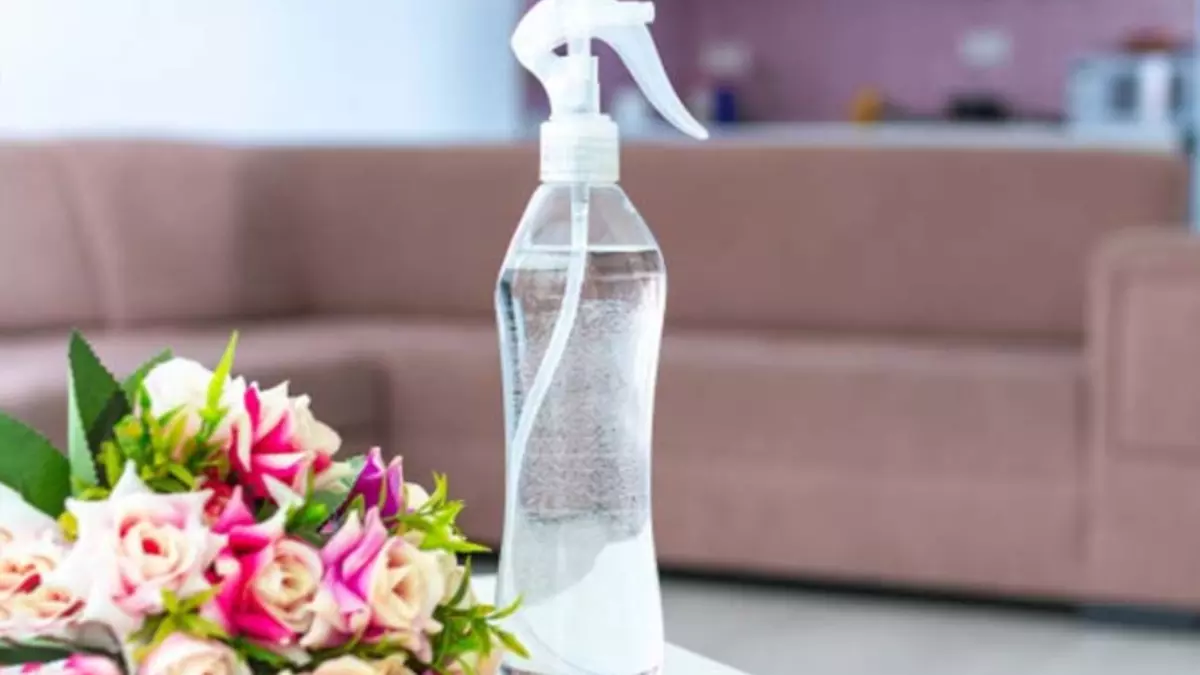 Doğal sinek kovucu! Evinizin bir köşesine koyun ve etkisini görün: Sadece 2 malzeme