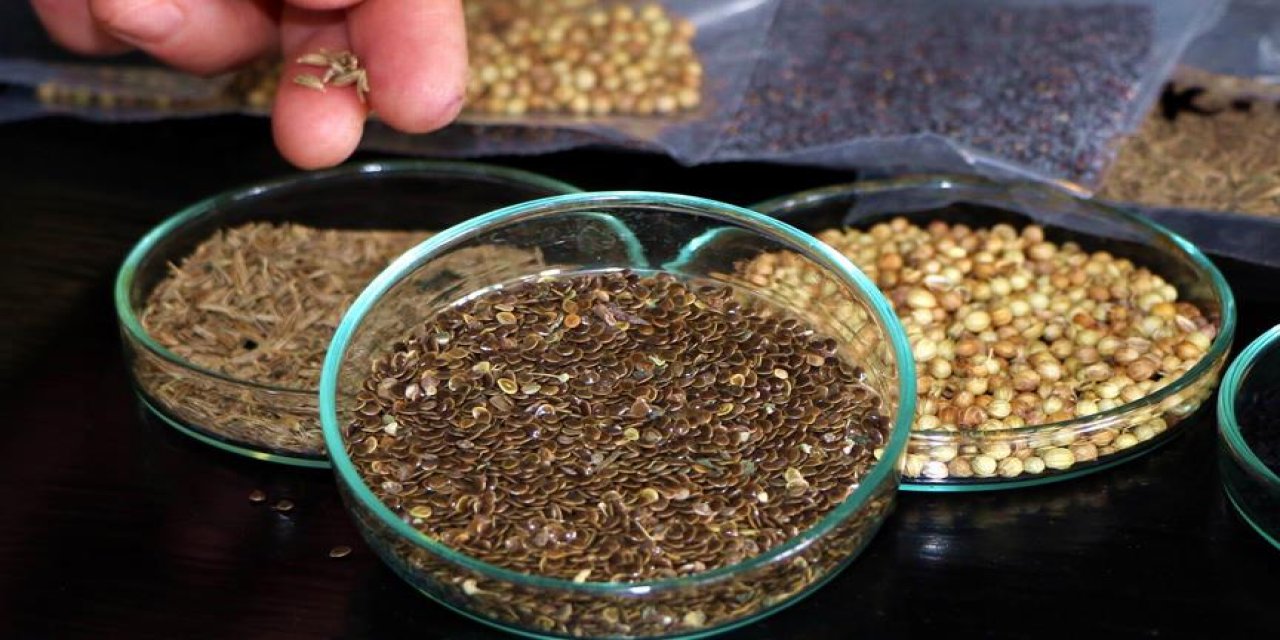 İsteyen herkes ulaşabilecek! Tarım Kredi marketlerde satışa sunuluyor: Binlerce üreticiye müjdeli haber