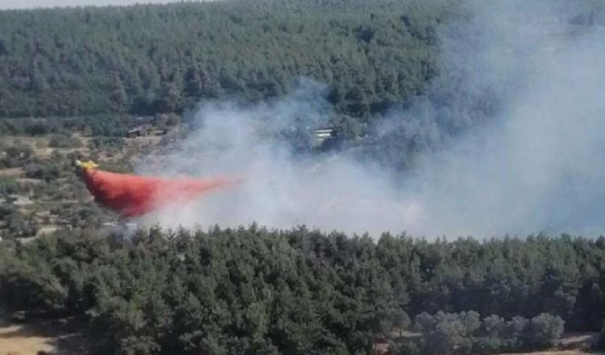 İzmir'de orman yangını