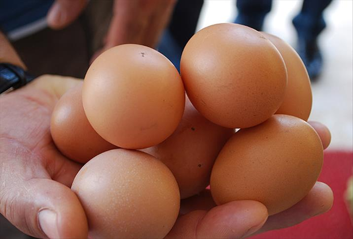 Halk ekmek, halk süt... Şimdi de halk yumurta! O ilimizde yaşayanlara müjde