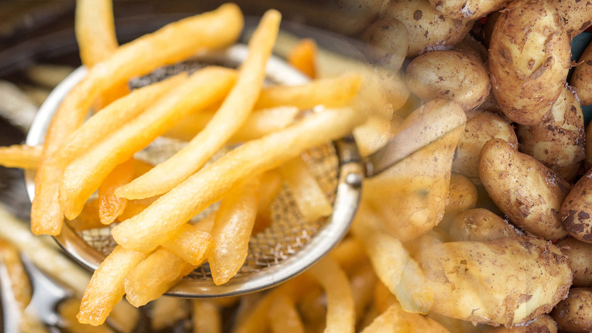 Bu şekilde tüketilen patates zehirliyor... Patates tüketirken bu detaya dikkat edin!