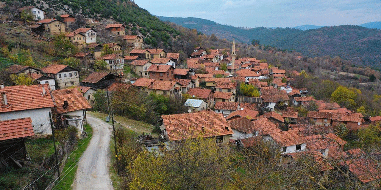 Türkiye'de şehirleşme: Kırsal nüfus hızla azalıyor