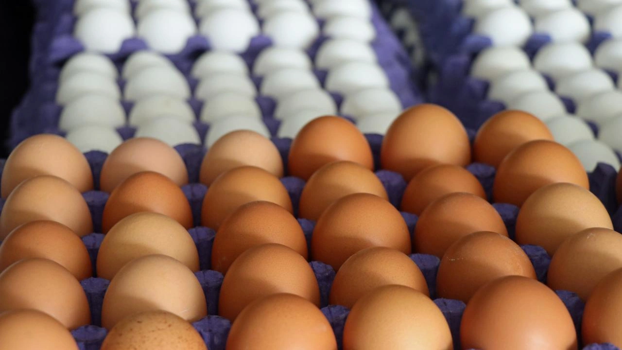 Zam yağmuru dinmiyor! Yumurta fiyatlarına zam: 5 liraya dayandı