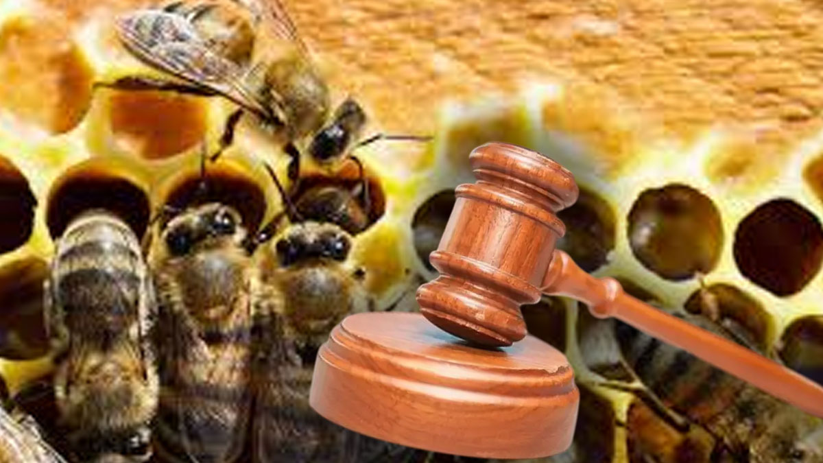 'Kraliçe arı' dolandırıcısına 4 yıl hapis cezası
