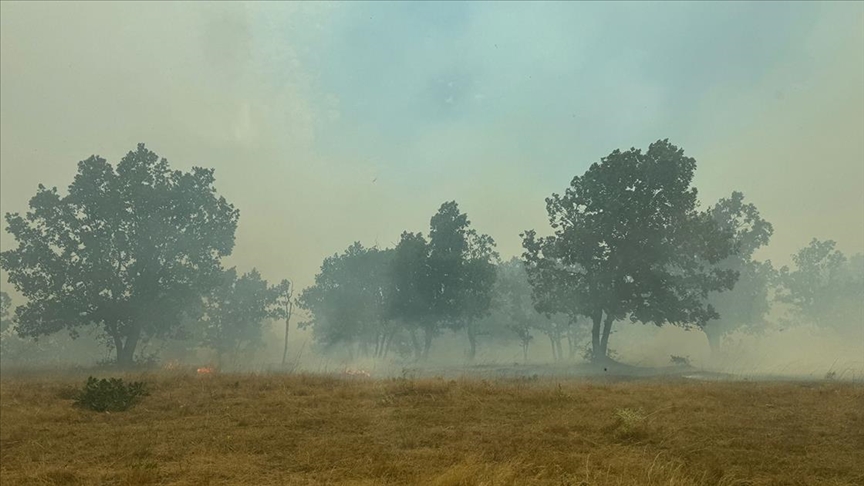 Edirne’nin Bulgaristan sınırında orman yangını!