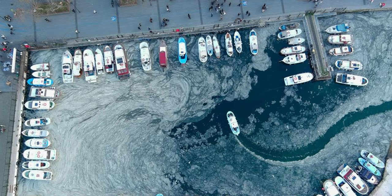 Marmara'daki müsilaj balıkçıları da vurdu! Fiyatlar uçabilir