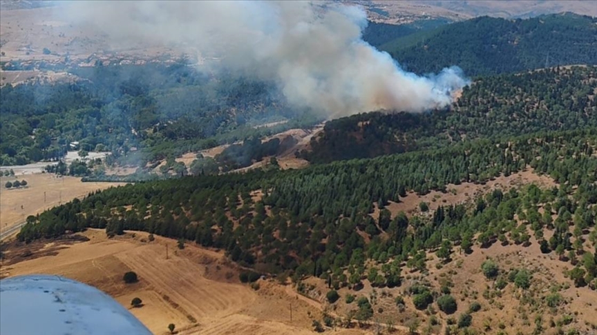 Balıkesir'de ormanlık alanda yangın: Ekipler müdahale ediyor