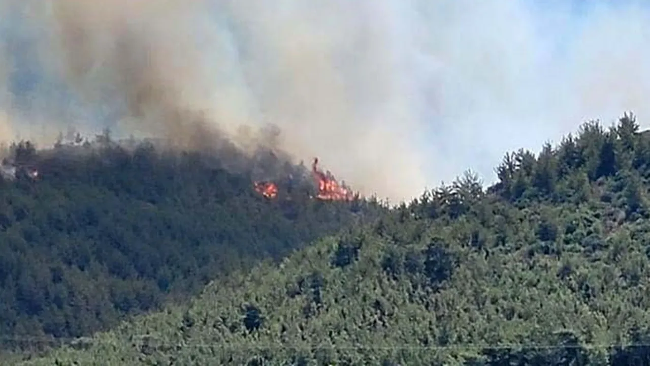 Hatay'da orman yangını