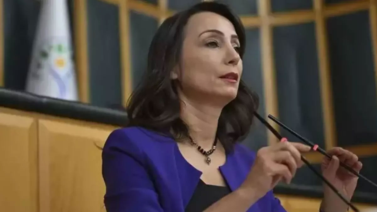 Öcalan ne zaman çağrı yapacak? DEM Parti'den yeni açıklama