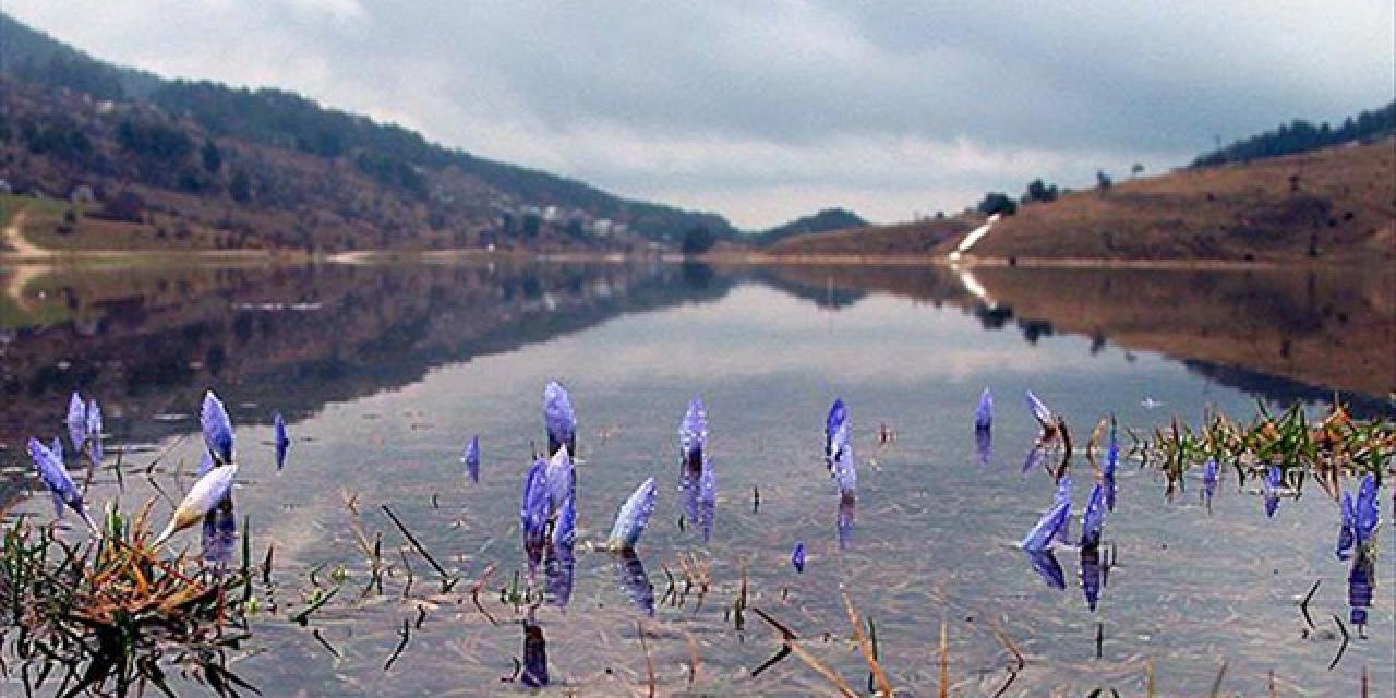 İkinci cemre suya düştü! Baharın müjdecisi geldi