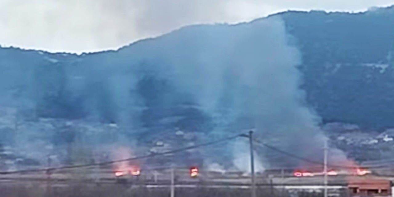Karaman Gölü'ndeki sazlık alan ateşe verildi! Binlerce canlı telef oldu