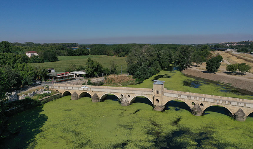 Tunca Nehri alarm veriyor! Yosun ve su mercimeklerinden su gözükmüyor