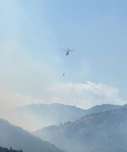 Hatay'da orman yangını!