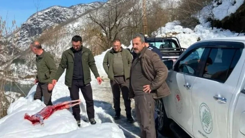 Kan izleri takip edilince suçüstü yakalandılar