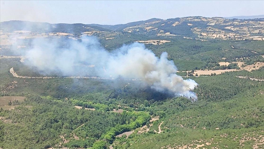 Balıkesir'de ormanlık alanda yangın