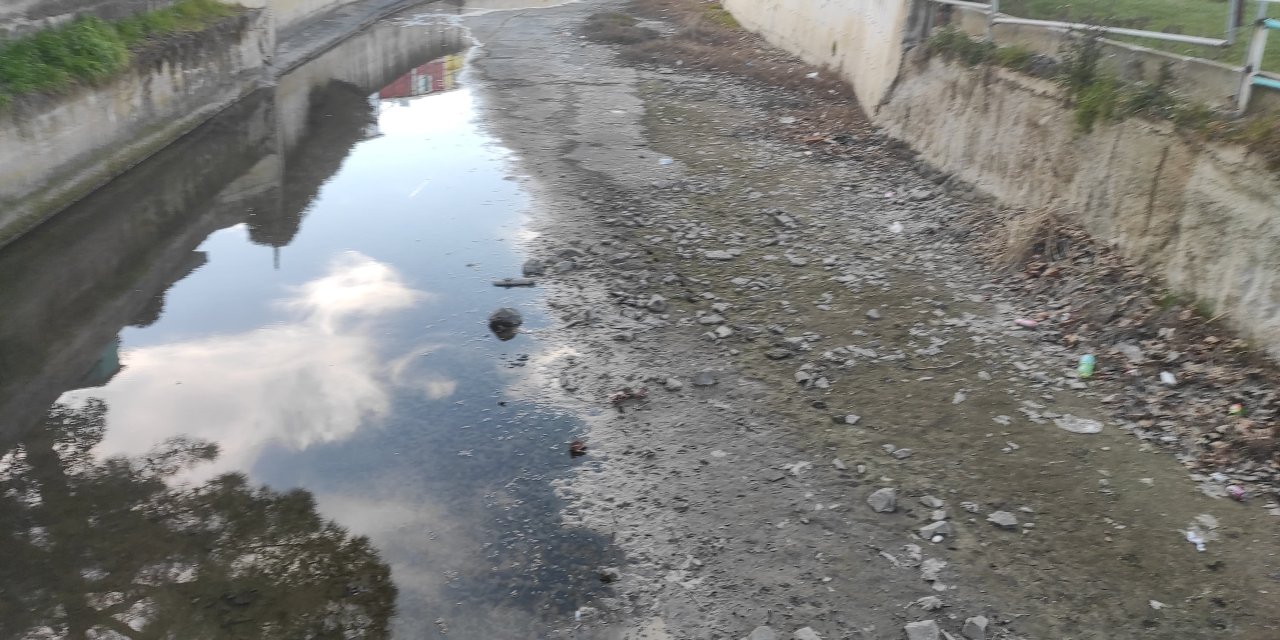 Marmara Denizi'ne dökülen Değirmenaltı Deresi'nde kuraklık alarmı