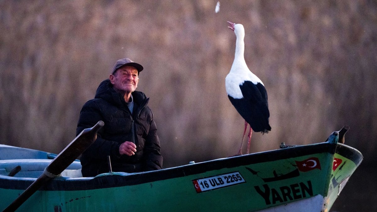 Yaren leylek 14. kez geldi: Beklenen buluşma gerçekleşti