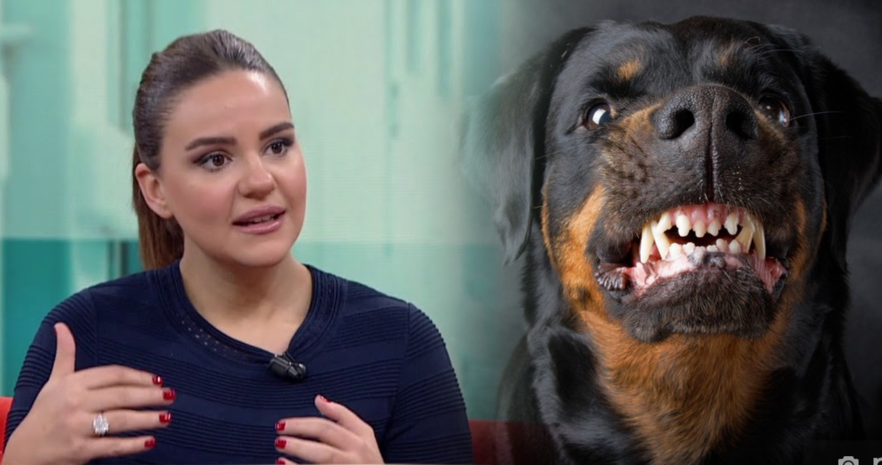 Ünlü sunucunun 7 yaşındaki kızına Rottweiler cinsi köpek saldırdı! Köpeği gezdiren de 14 yaşında