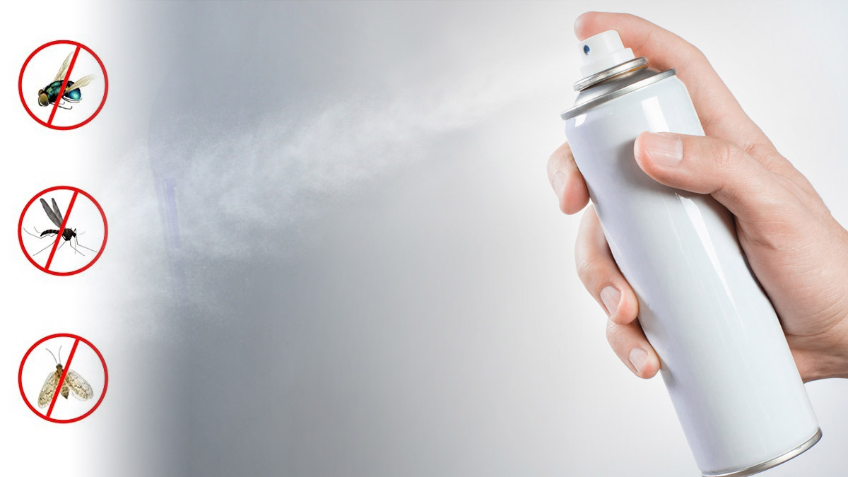 Sinek ve böceklere veda edin! Bu yöntem sonrasında evinizden kaçacaklar... İşte o yöntem...