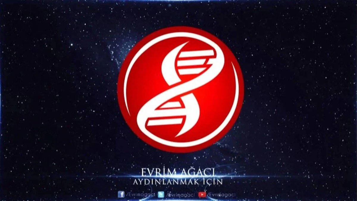 Boykota destek vermişti: Evrim Ağacı’na siber saldırı girişimi!