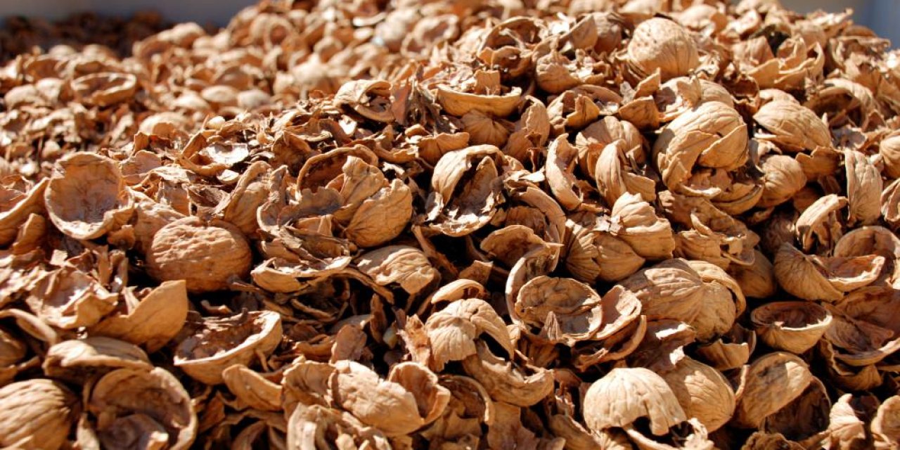 Şifa dolu kabuğunu hep çöpe atıyoruz! Meğer asıl mucize içinde gizliymiş