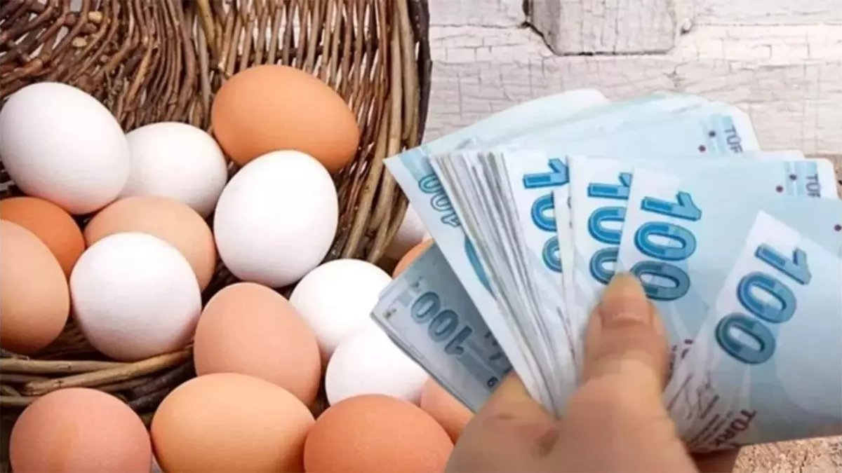 Yumurtada fiyat alarmı: Tanesi 10 lirayı aşabilir!