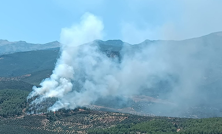 Hatay Hassa'da çıkan orman yangını kontrol altına alındı