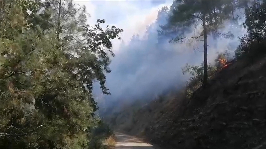 Kahramanmaraş’ta orman yangını! Havadan ve karadan müdahale ediliyor