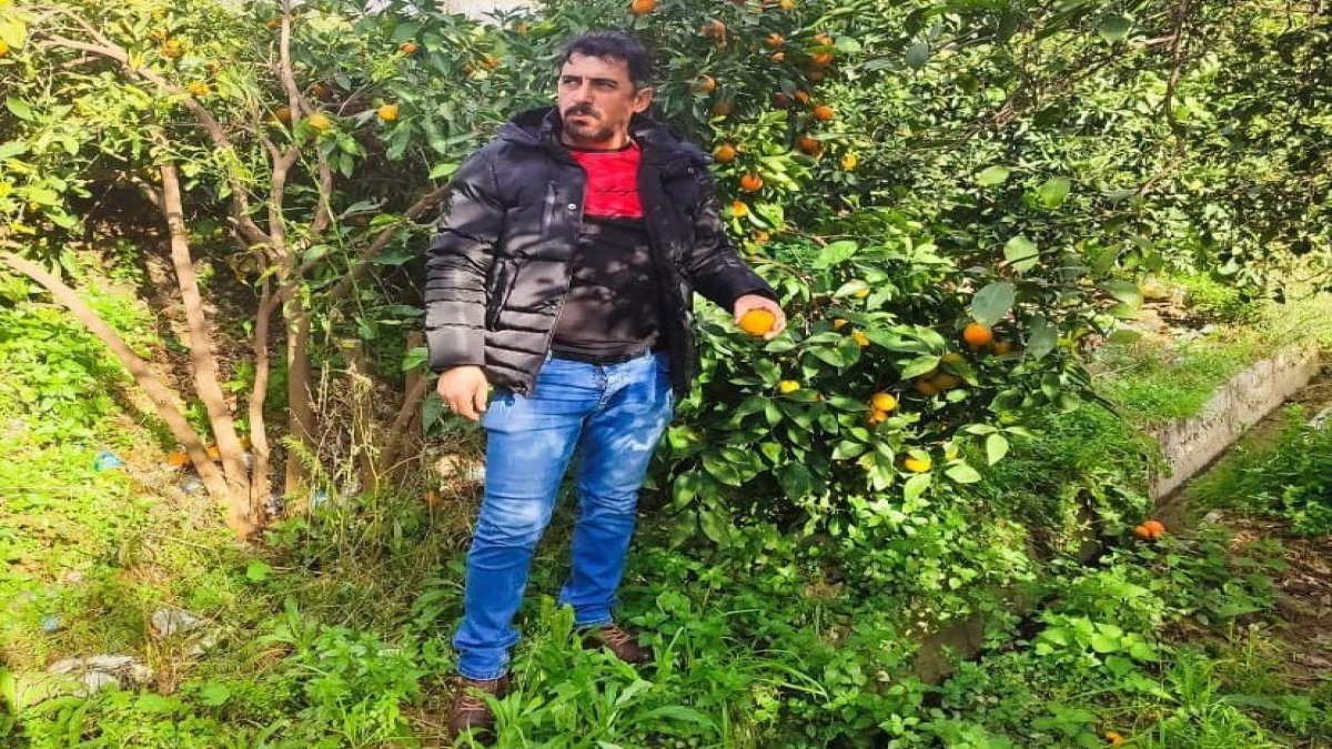 Kazada öldüğü sanılıyordu: Gerçek otopside ortaya çıktı