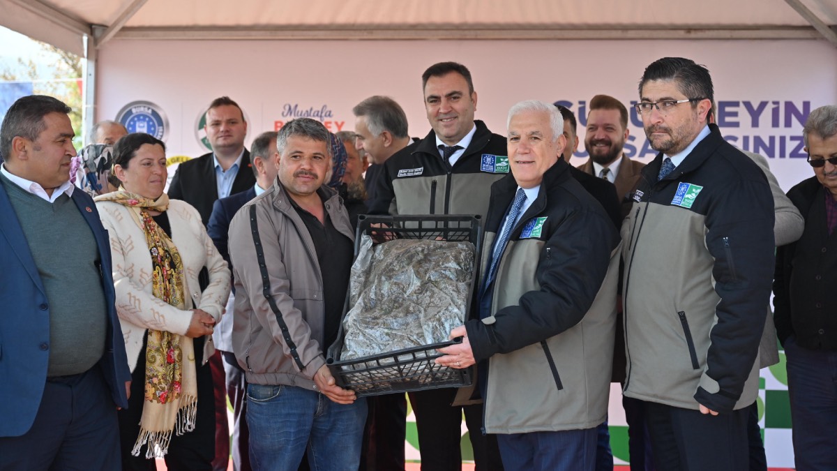 Büyükşehir’den çiftçiye 1 milyon 222 bin adet çilek fidesi