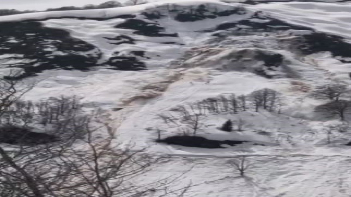 Artvin’de çığ ve heyelan paniği: Macahel yolu ulaşıma kapandı