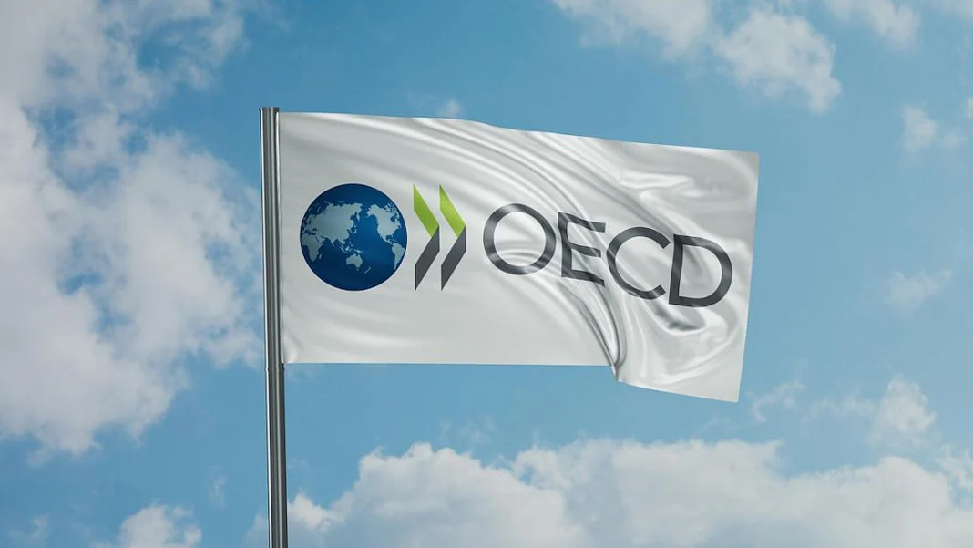 OECD Türkiye’yi uyardı: Büyümenin sürdürülebilirliği tehlikede