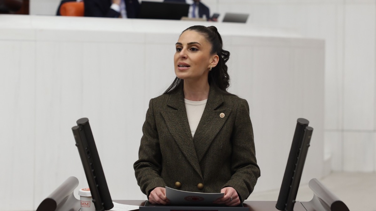 Muğla milletvekili Gizem Özcan'dan Muğla'daki demokratik direnişe yönelik baskılara tepki