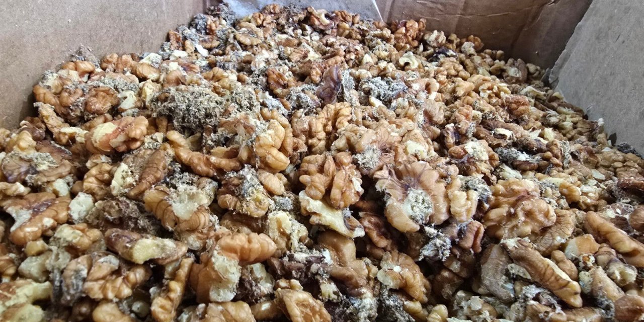 86 şubesi olan ünlü baklavacıda skandal son anda fark edildi: 11 ton küflü kurtlanmış cevizi yedireceklerdi