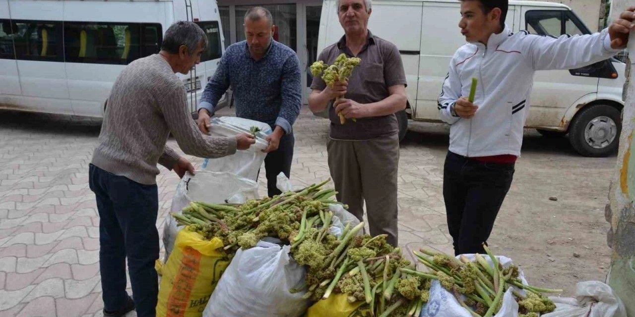 Kilosu 300 liradan satılıyor! İsmini duyan çok az ama kanserin ilacı