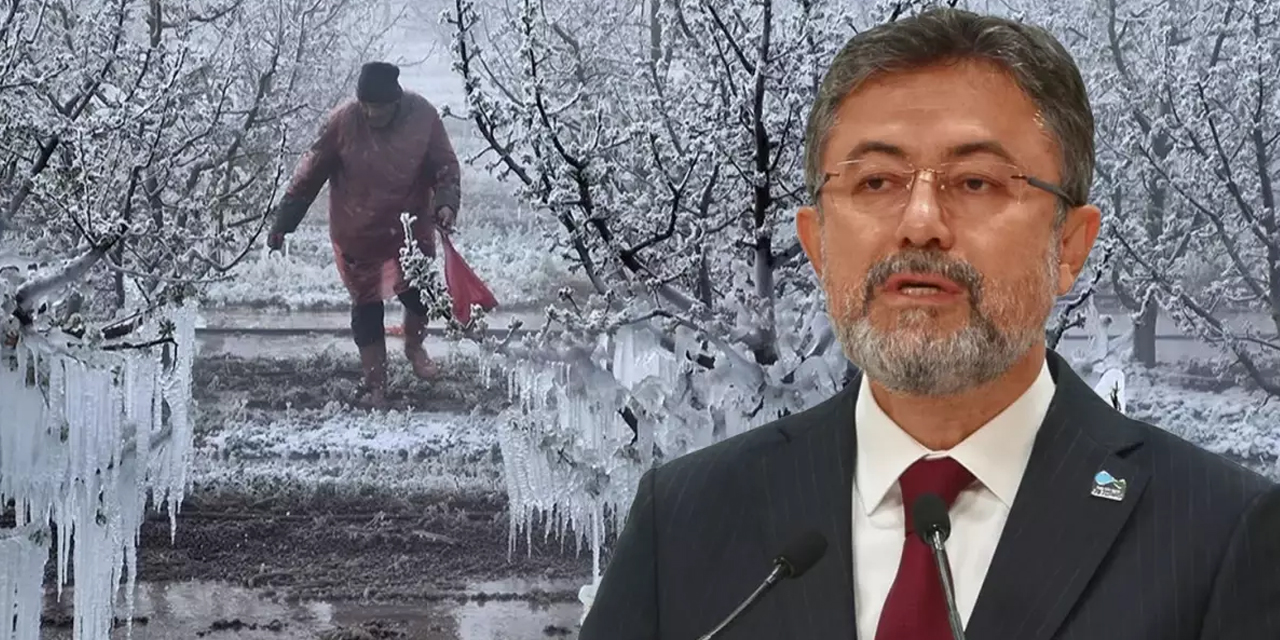 Bakan Yumaklı, zirai don olayının etkilerini açıkladı