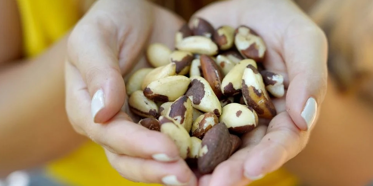 Brezilya cevizini sağlıklı diye tüketiyoruz ama... Uzmanlardan 'Kalp krizine yol açabilir' uyarısı