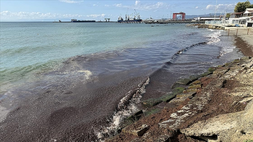 Tekirdağ'da deniz kıpkırmızı olmuştu! Uzman isim açıkladı: Korkutan görüntünün nedeni kirlilik değilmiş!