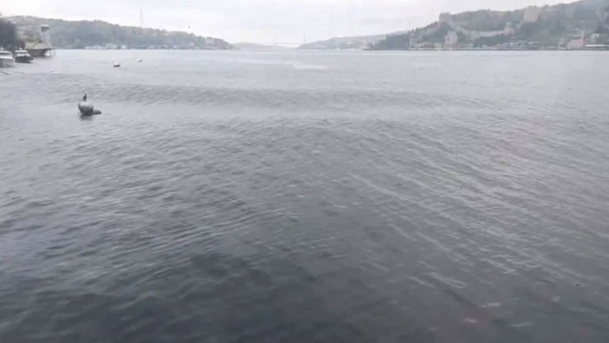 Marmara'da mini tsunami gerçekleşti! Bir metreyi geçti