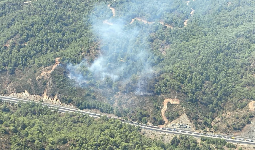 Muğla'da orman yangını