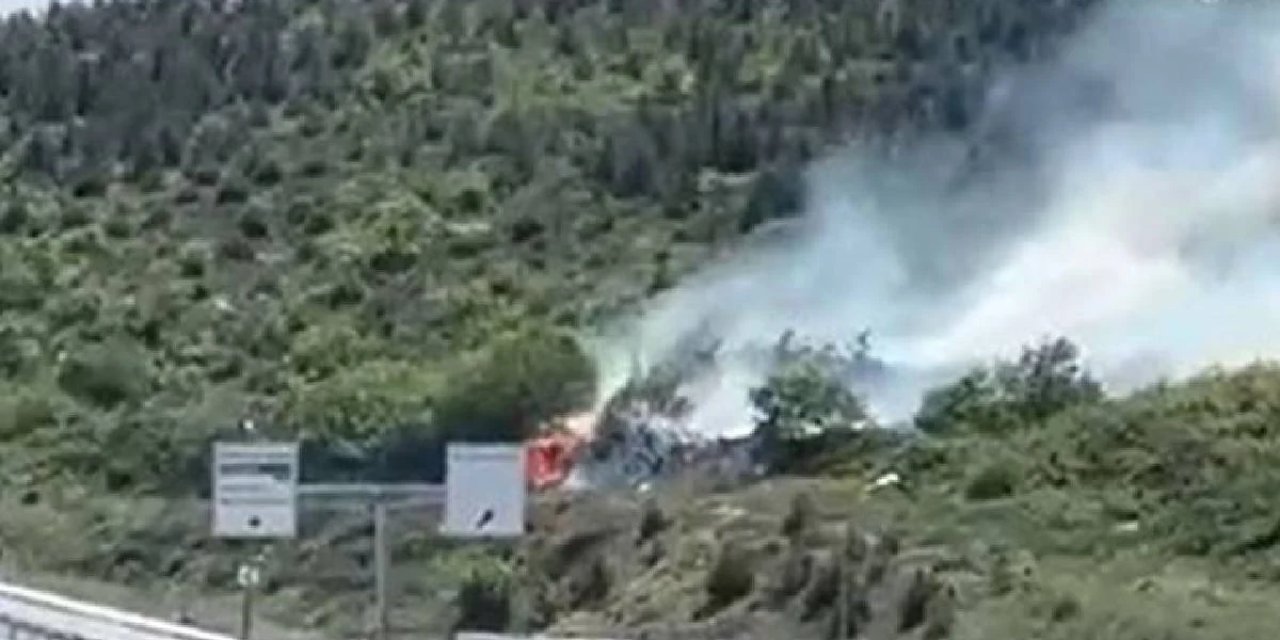 İstanbul'da ormanlık alanda yangın