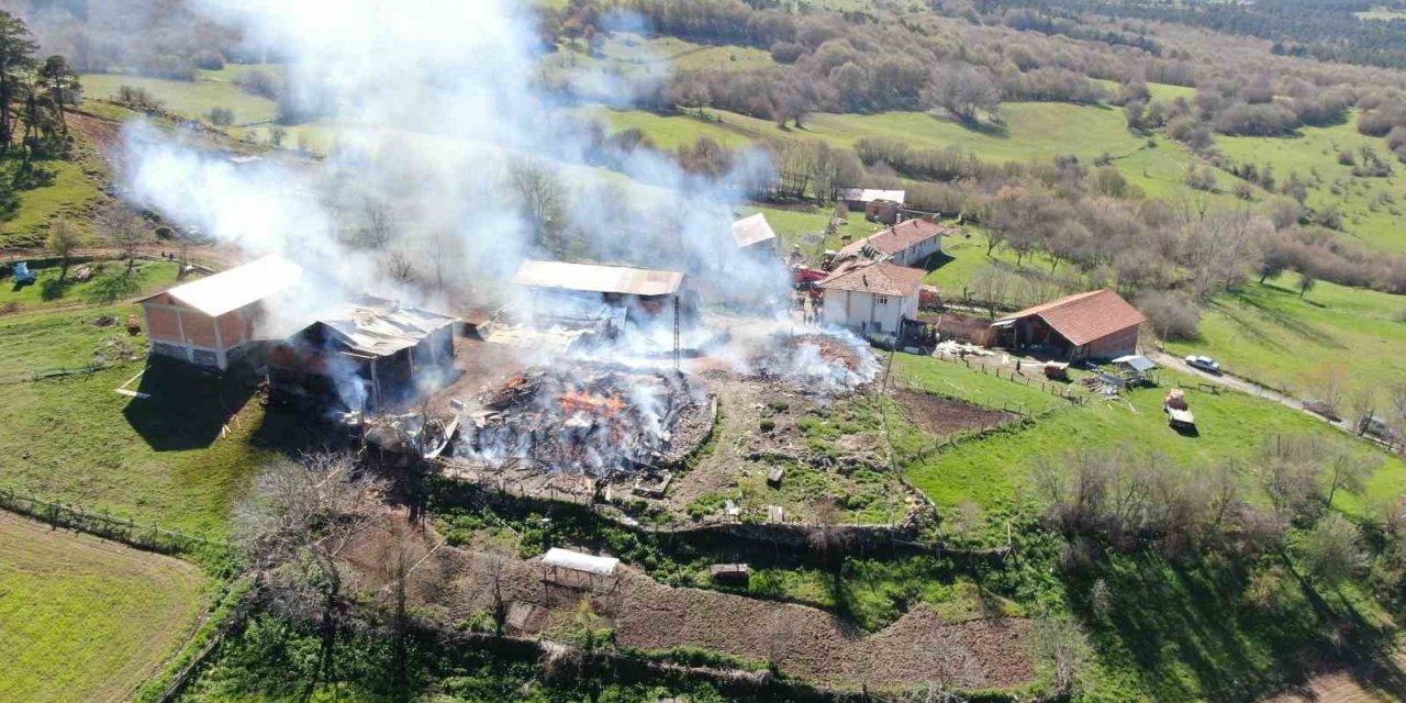 Kastamonu'da facia! 3 ev ve 3 ahır küle döndü