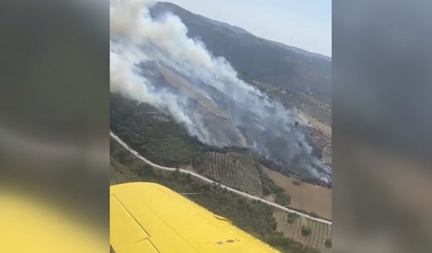 Manisa'da ormalık alanda yangın