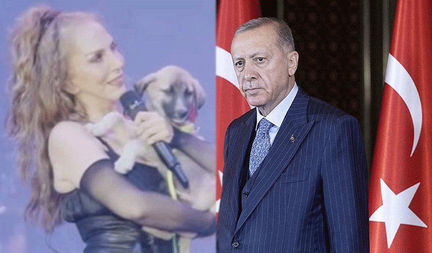 Sertab Erener'den Erdoğan'a çağrı: Bize sokak hayvanları konusunda 4 yıl verin