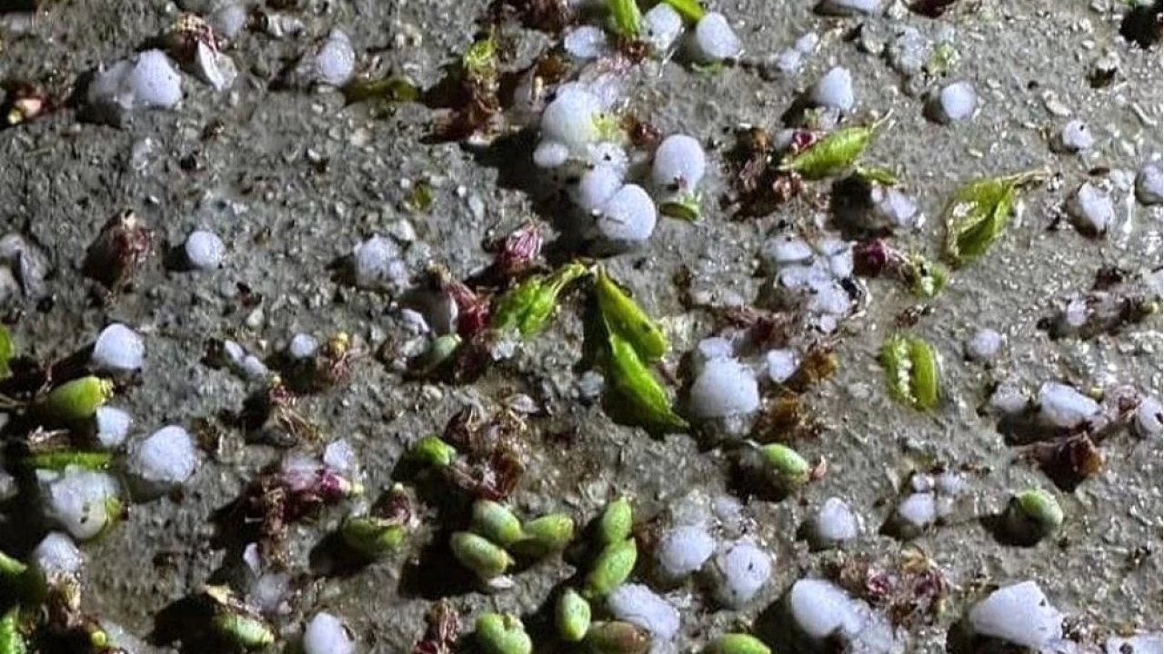 Malatya'da dolu yağdı